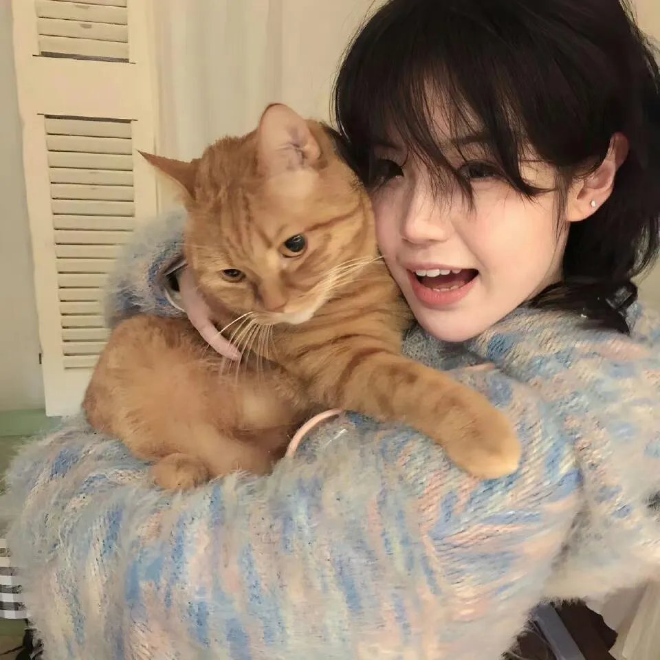 泰山大战女猎人